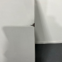 Liebherr ProfiLine G 5216 Index 21A/001 Freezer image 2